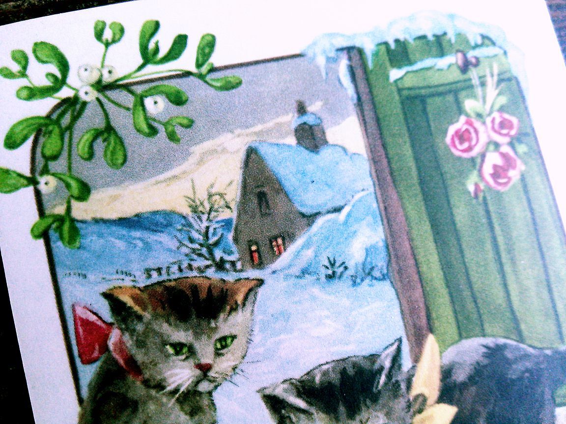 猫(1) C63◆アンティークポストカード フランス ドイツ ベルギー イタリア イギリス ネコ ねこ 子猫 ビンテージ絵葉書_画像4