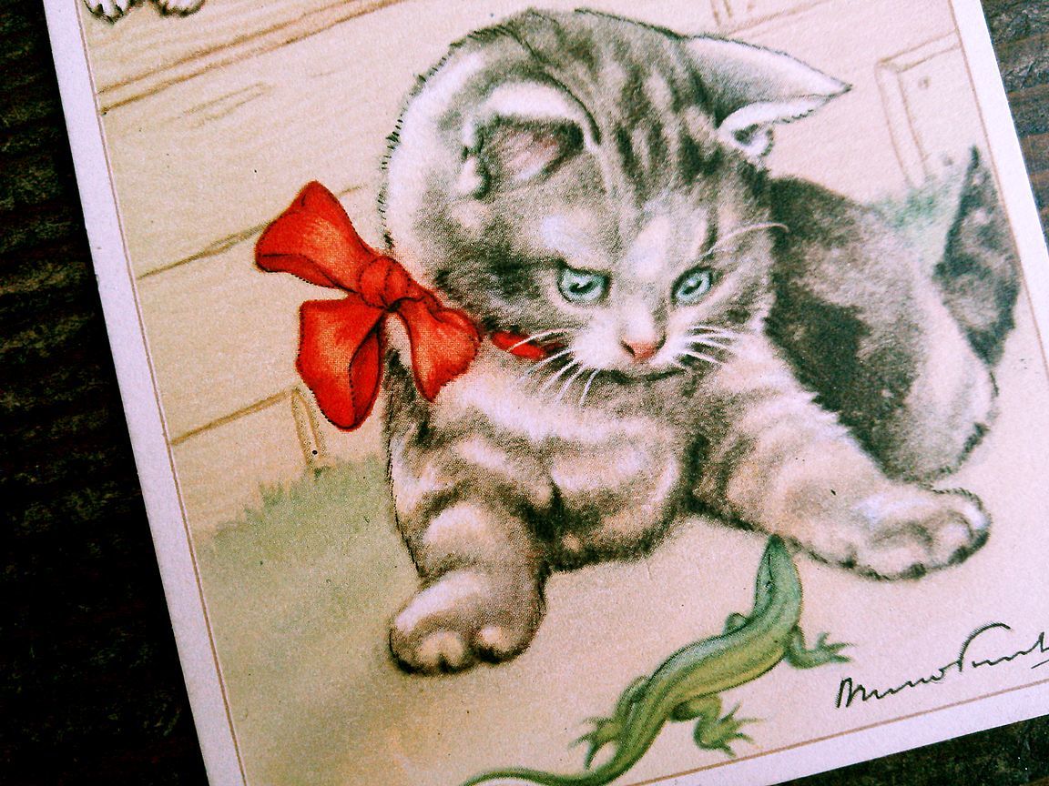 猫(5) C63◆犬 アンティークポストカード フランス ドイツ ベルギー イタリア イギリス ネコ ねこ 子猫 ビンテージ絵葉書_画像2