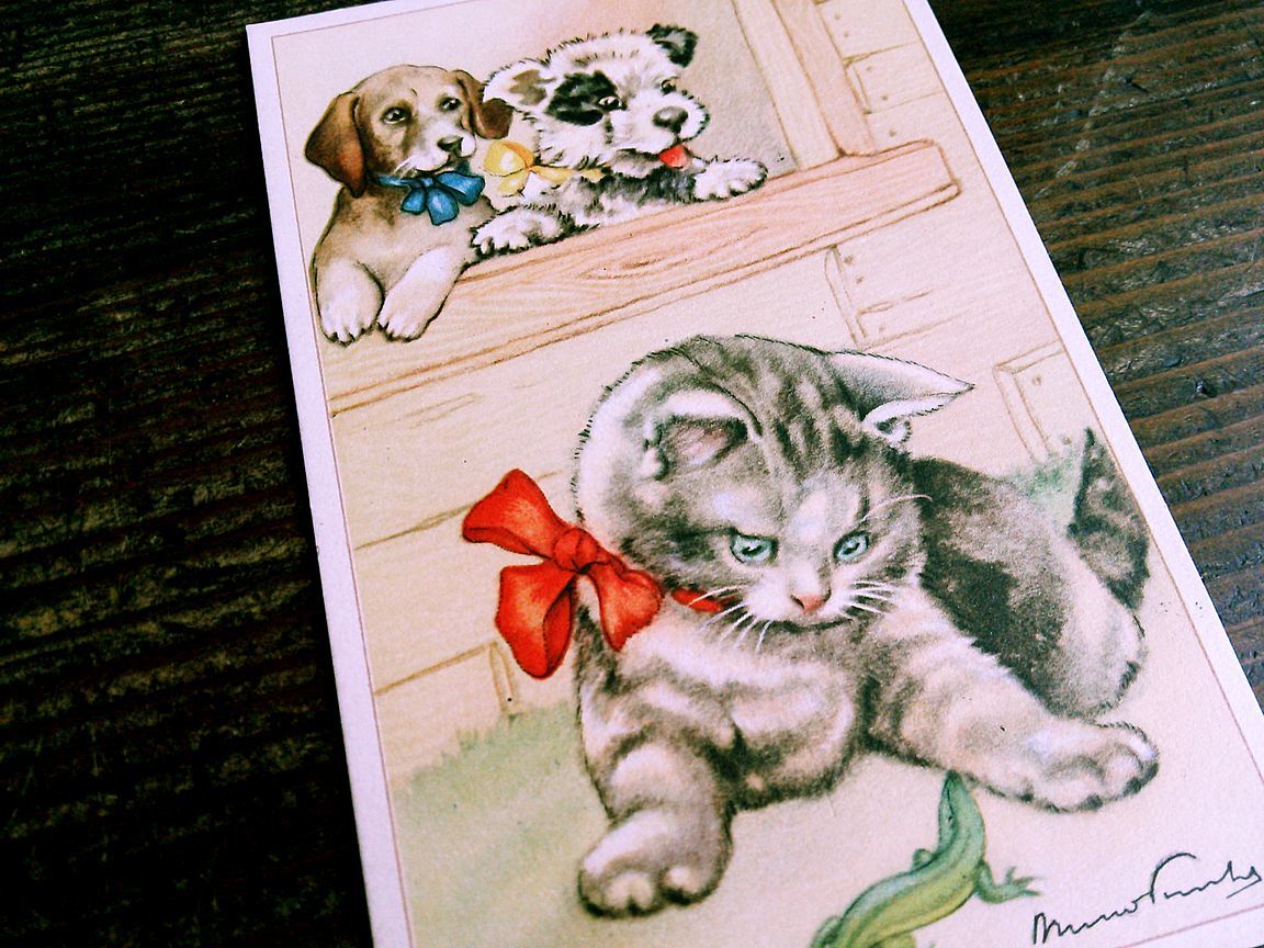 猫(5) C63◆犬 アンティークポストカード フランス ドイツ ベルギー イタリア イギリス ネコ ねこ 子猫 ビンテージ絵葉書_画像6