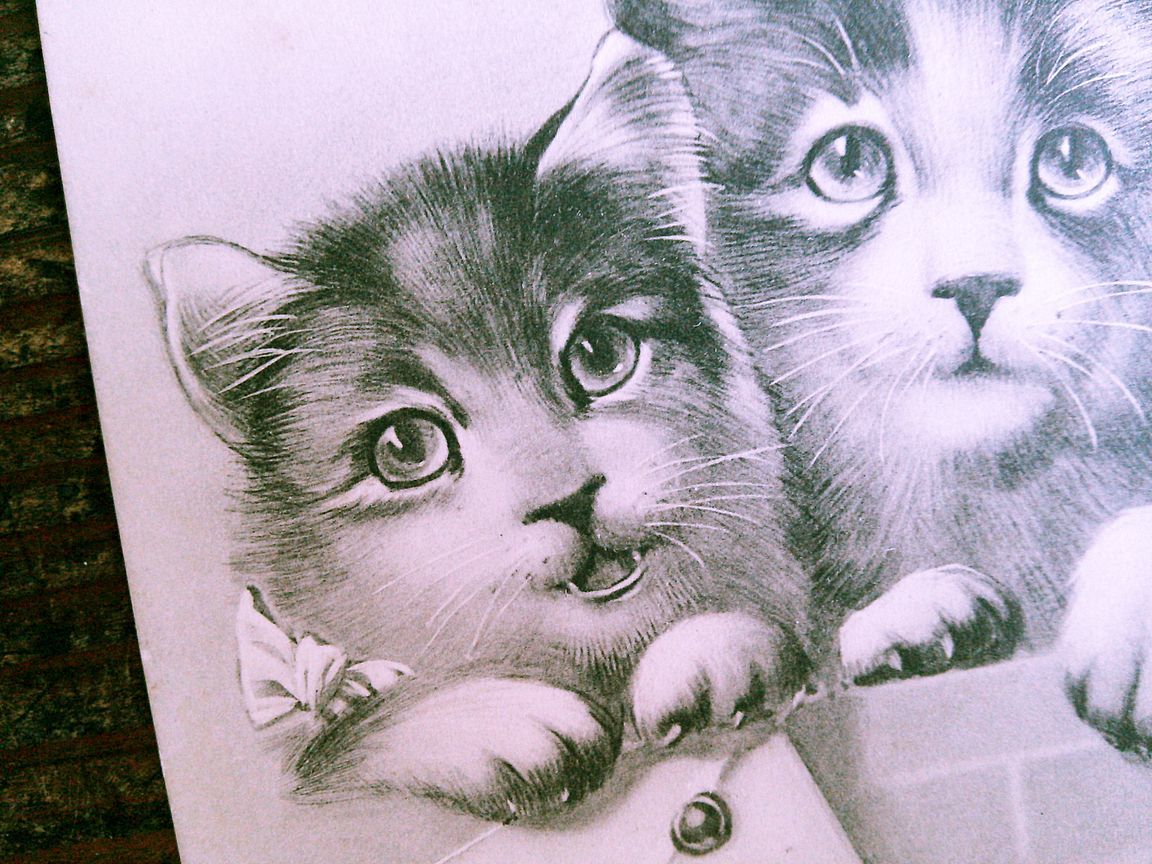 猫(17) C63◆アンティークポストカード フランス ドイツ ベルギー イタリア イギリス ネコ ねこ 子猫 ビンテージ絵葉書_画像4