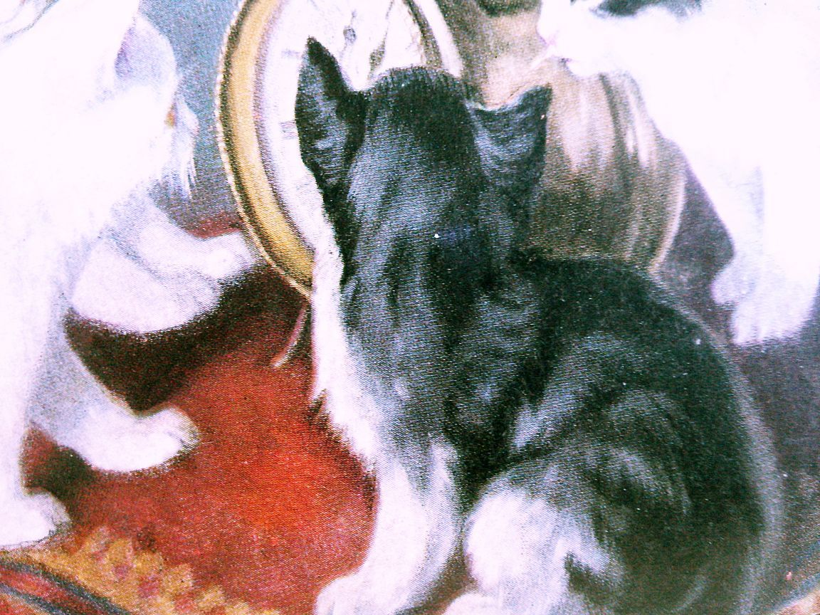猫(21) C63◆アンティークポストカード フランス ドイツ ベルギー イタリア イギリス ネコ ねこ 子猫 ビンテージ絵葉書の画像4