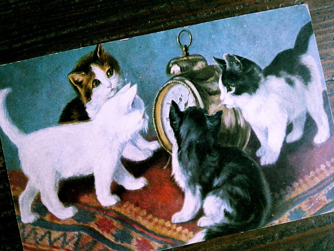 猫(21) C63◆アンティークポストカード フランス ドイツ ベルギー イタリア イギリス ネコ ねこ 子猫 ビンテージ絵葉書の画像2