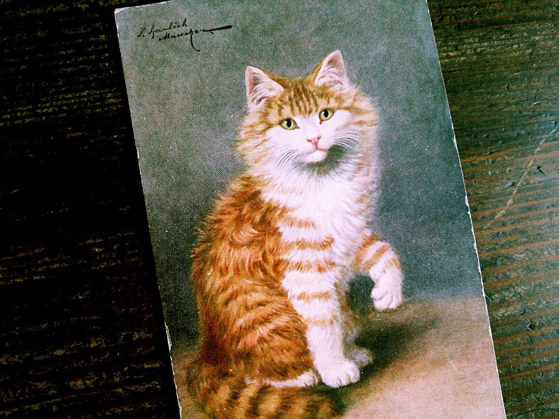 猫(27) C63◆アンティークポストカード フランス ドイツ ベルギー イタリア イギリス ネコ ねこ 子猫 ビンテージ絵葉書_画像2
