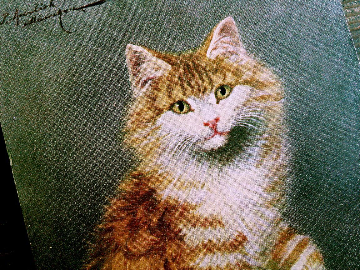 猫(27) C63◆アンティークポストカード フランス ドイツ ベルギー イタリア イギリス ネコ ねこ 子猫 ビンテージ絵葉書_画像3