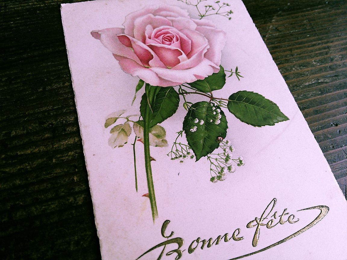 花(8)D23◆薔薇 バラ アンティークポストカード フランス ドイツ イタリア イギリス ビンテージ _画像6