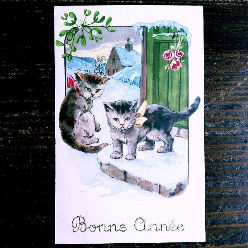 猫(1) C63◆アンティークポストカード フランス ドイツ ベルギー イタリア イギリス ネコ ねこ 子猫 ビンテージ絵葉書_画像1