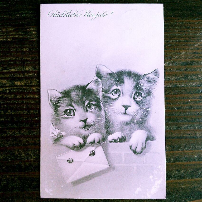 猫(17) C63◆アンティークポストカード フランス ドイツ ベルギー イタリア イギリス ネコ ねこ 子猫 ビンテージ絵葉書_画像1