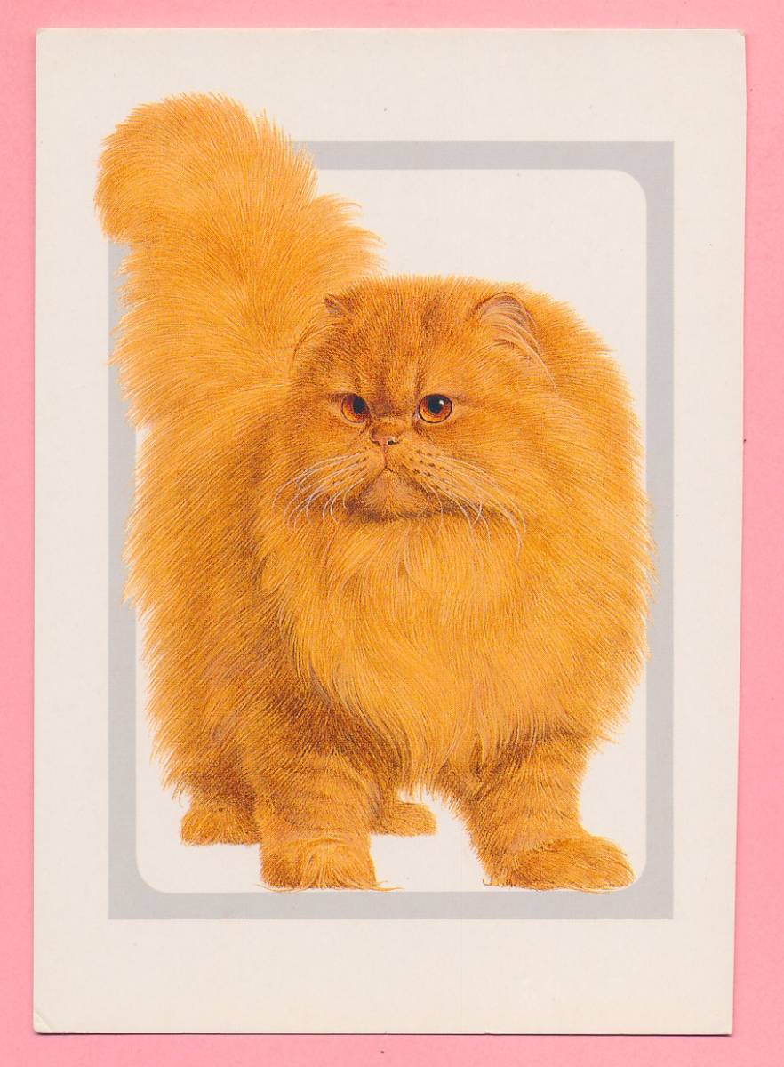猫(20) E75◆ビンテージポストカード フランス ドイツ ベルギー イタリア イギリス ネコ ねこ 子猫 ビンテージ絵葉書 _画像2