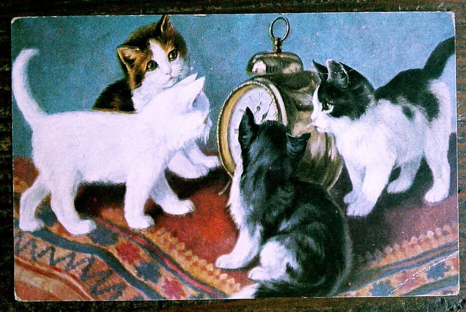 猫(21) C63◆アンティークポストカード フランス ドイツ ベルギー イタリア イギリス ネコ ねこ 子猫 ビンテージ絵葉書の画像1