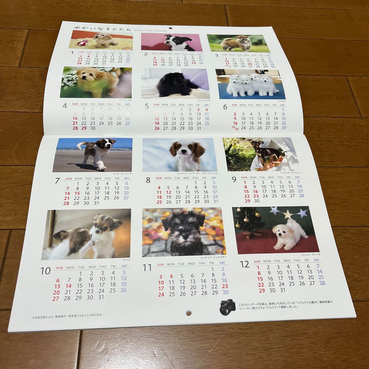 壁掛けカレンダー/ゆかいな子犬たち