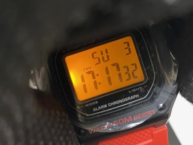 CASIO カシオ STANDARD スタンダード デジタル W-218H-4BVDF 腕時計 展示未使用品_画像3