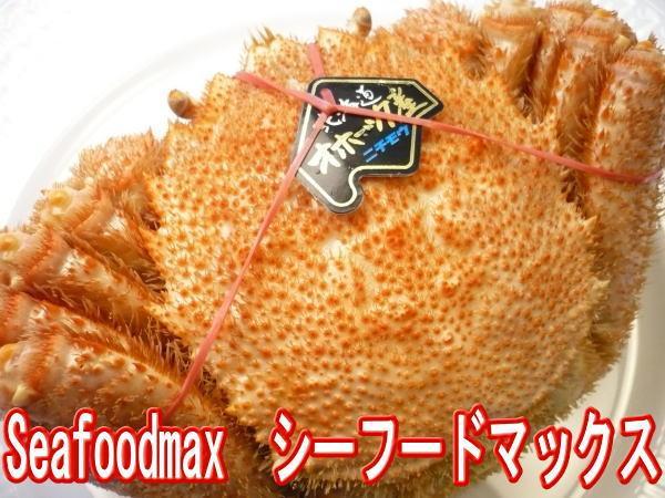 5【Max】最高級の北海道産 毛ガニ ボイル 極上 堅蟹３特 約400g 大好評 1円 数量限定_身入り抜群の北海道産・毛がに1杯です