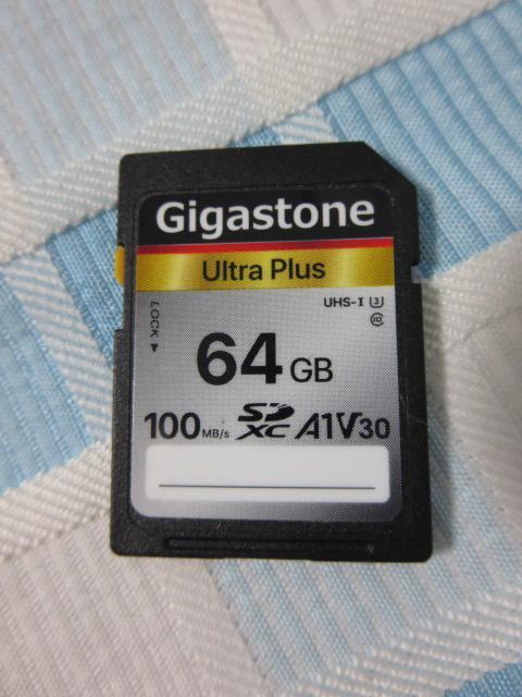 Gigastone SDメモリーカード/SDXC 64GB Class10 UHS-1 100MB/sの画像1