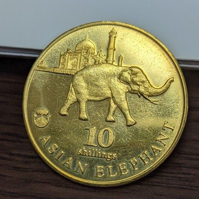 ビアフラ自由州 ナイジェリア 記念硬貨 10シリング アジアゾウ 大型 コイン ビアフラ共和国 海外コイン 硬貨