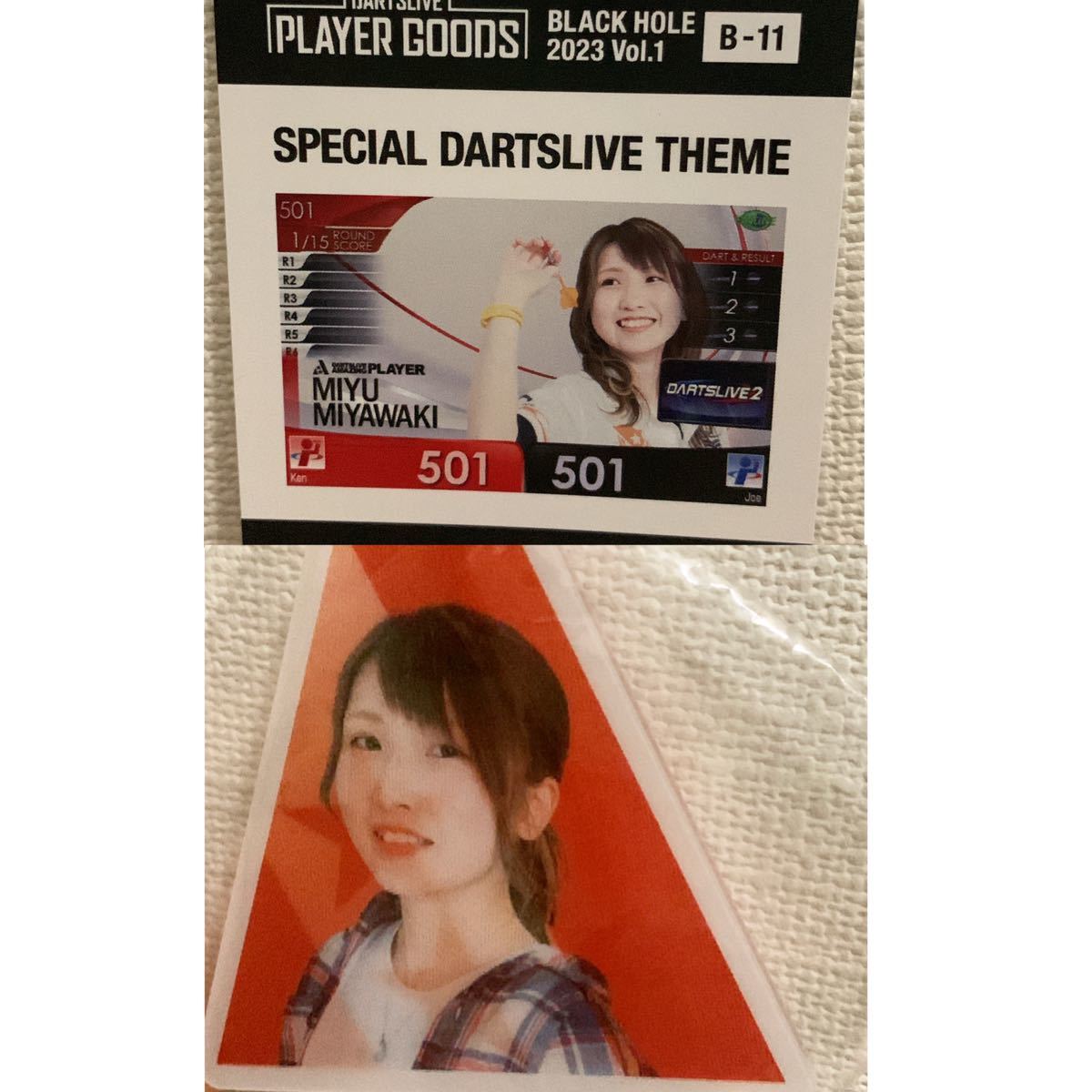 限定 ダーツ 宮脇実由 キーホルダー テーマ くじ ダーツライブ DARTSLIVE darts ダーツハイブ くじ 熊 クマ くま_画像1