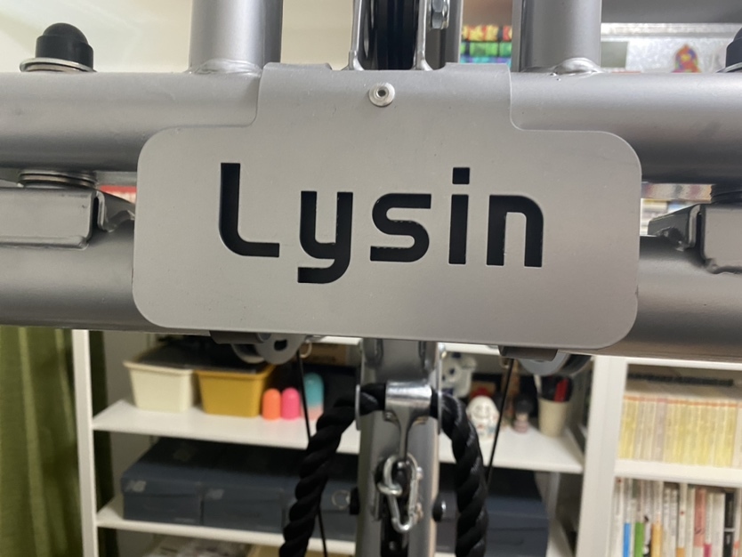 Lysin ライシン エクストラジム ホームジム 筋力トレーニング LS-EXGYM 解体済み エリア限定 埼玉県川口市発_画像10