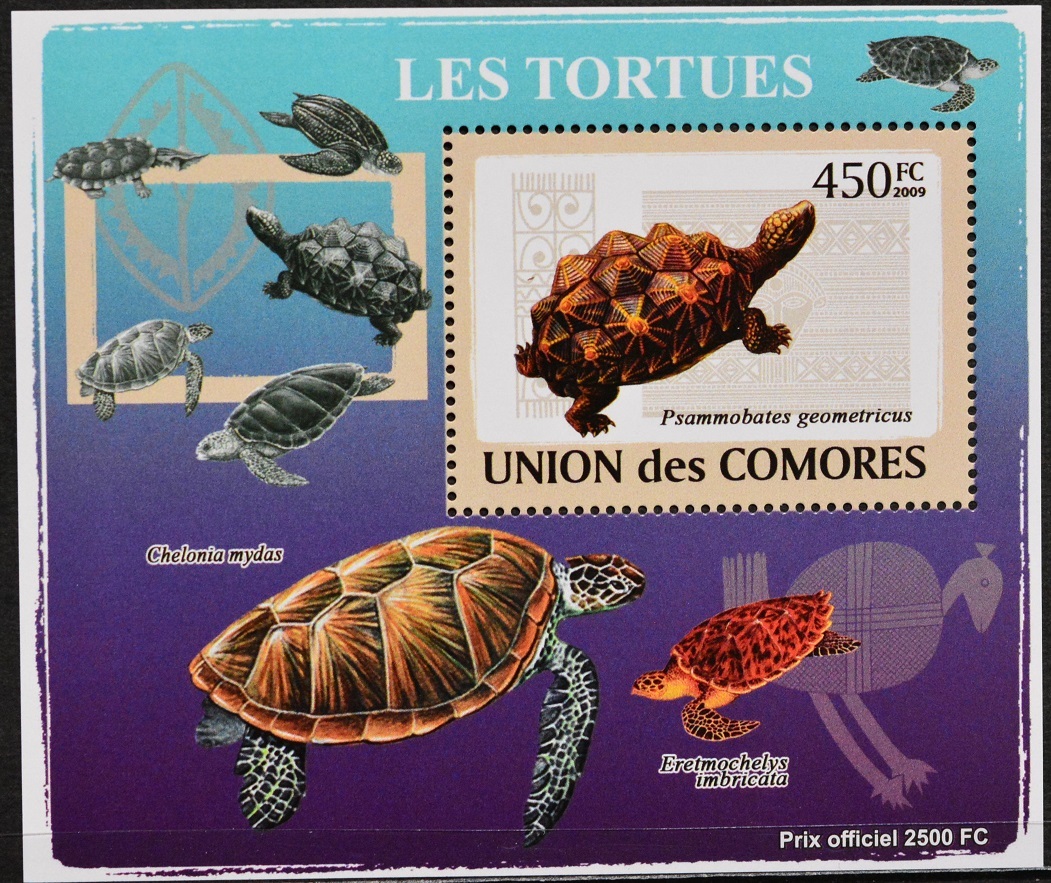 「TC290」コモロ諸島切手 2009年 亀の画像1
