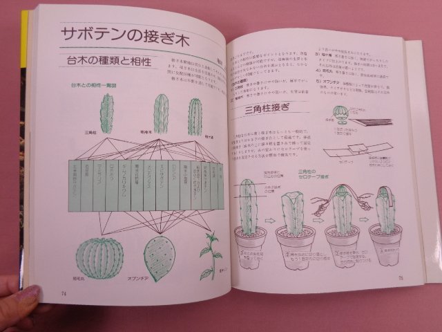 『 図解 サボテン作り 』 東京カクタスクラブ/編 誠文堂新光社_画像2