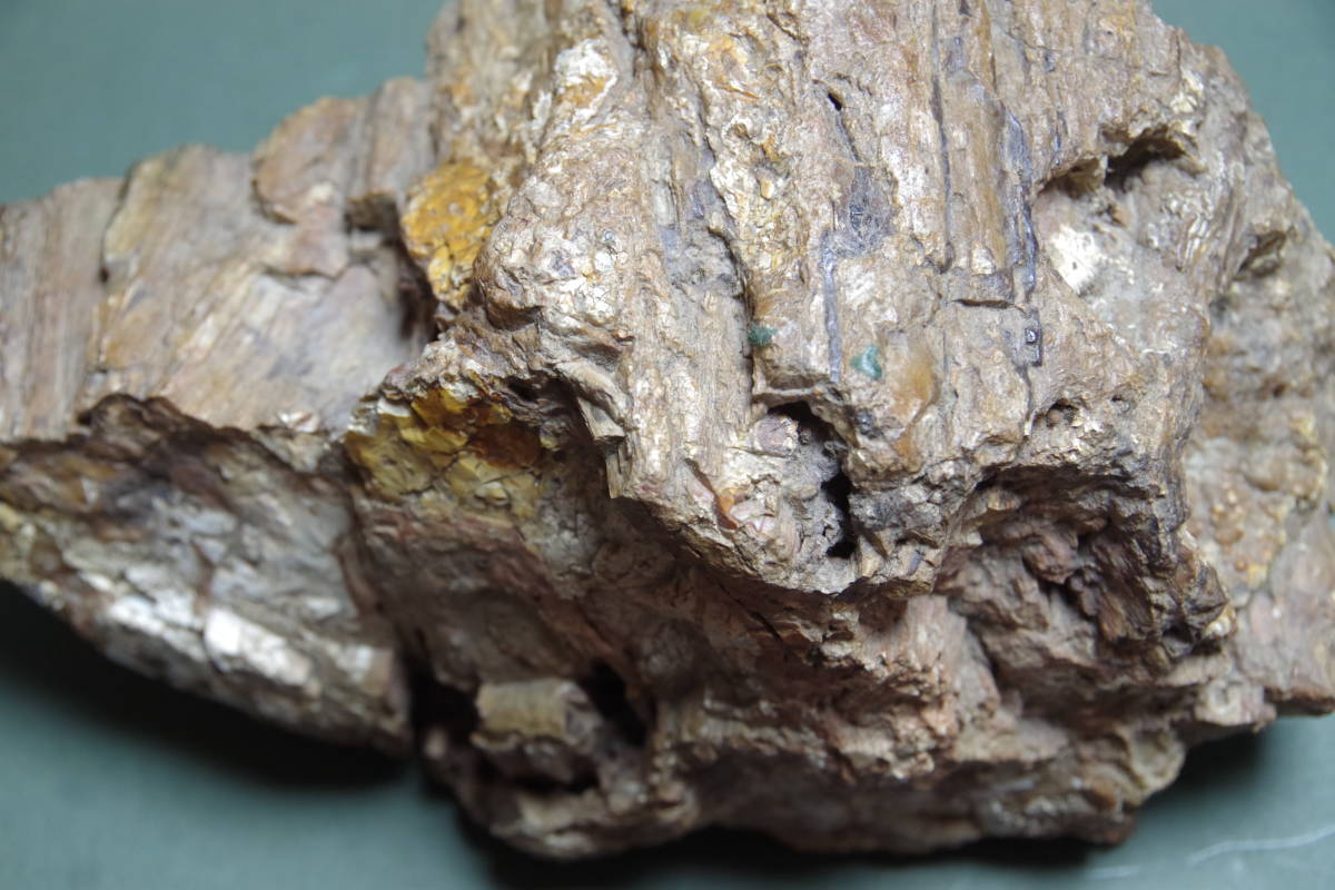 珪化木　瑪瑙化木化石　4.5ｋｇ　忍耐・継続と平常心のパワーストーン　ペトリファイドウッド　アゲート_画像10