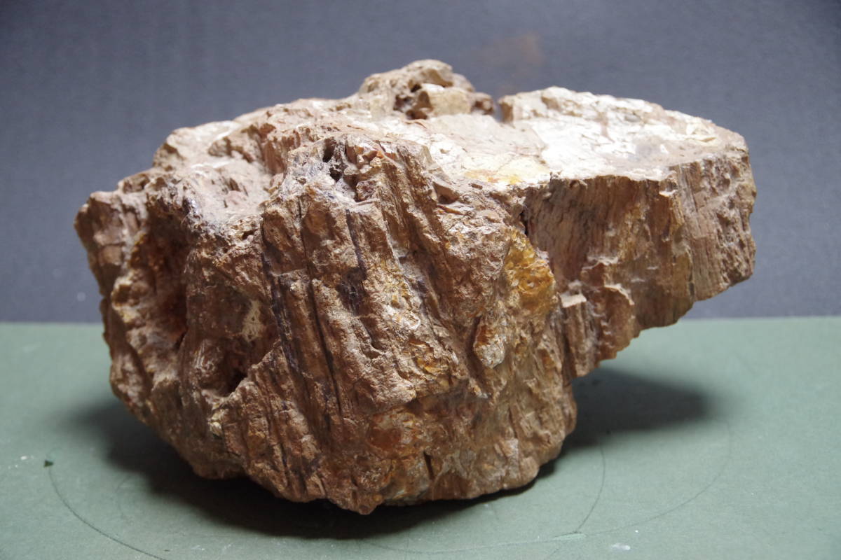 珪化木　瑪瑙化木化石　4.5ｋｇ　忍耐・継続と平常心のパワーストーン　ペトリファイドウッド　アゲート_画像4