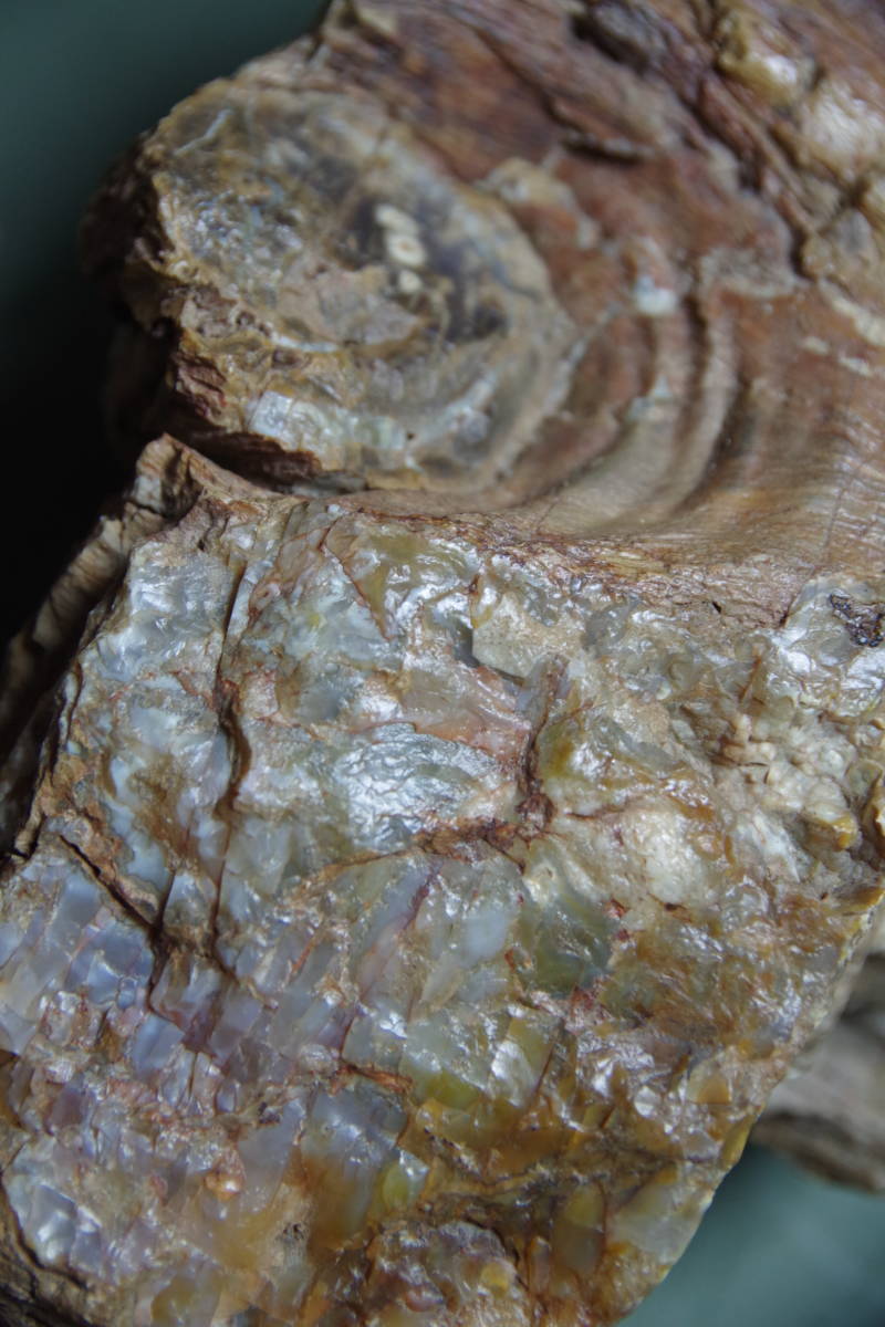 珪化木　瑪瑙化木化石　4.5ｋｇ　忍耐・継続と平常心のパワーストーン　ペトリファイドウッド　アゲート_画像7