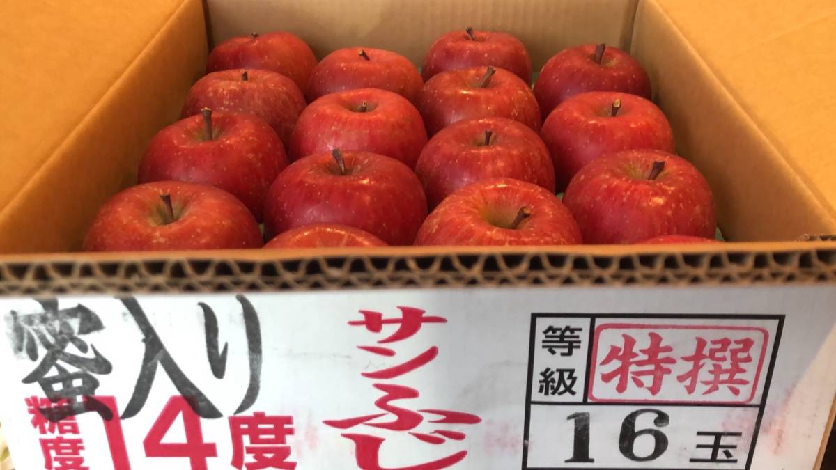  Aomori prefecture production apple sugar times 14 times sun .. special selection 5kg (12~16 sphere go in )