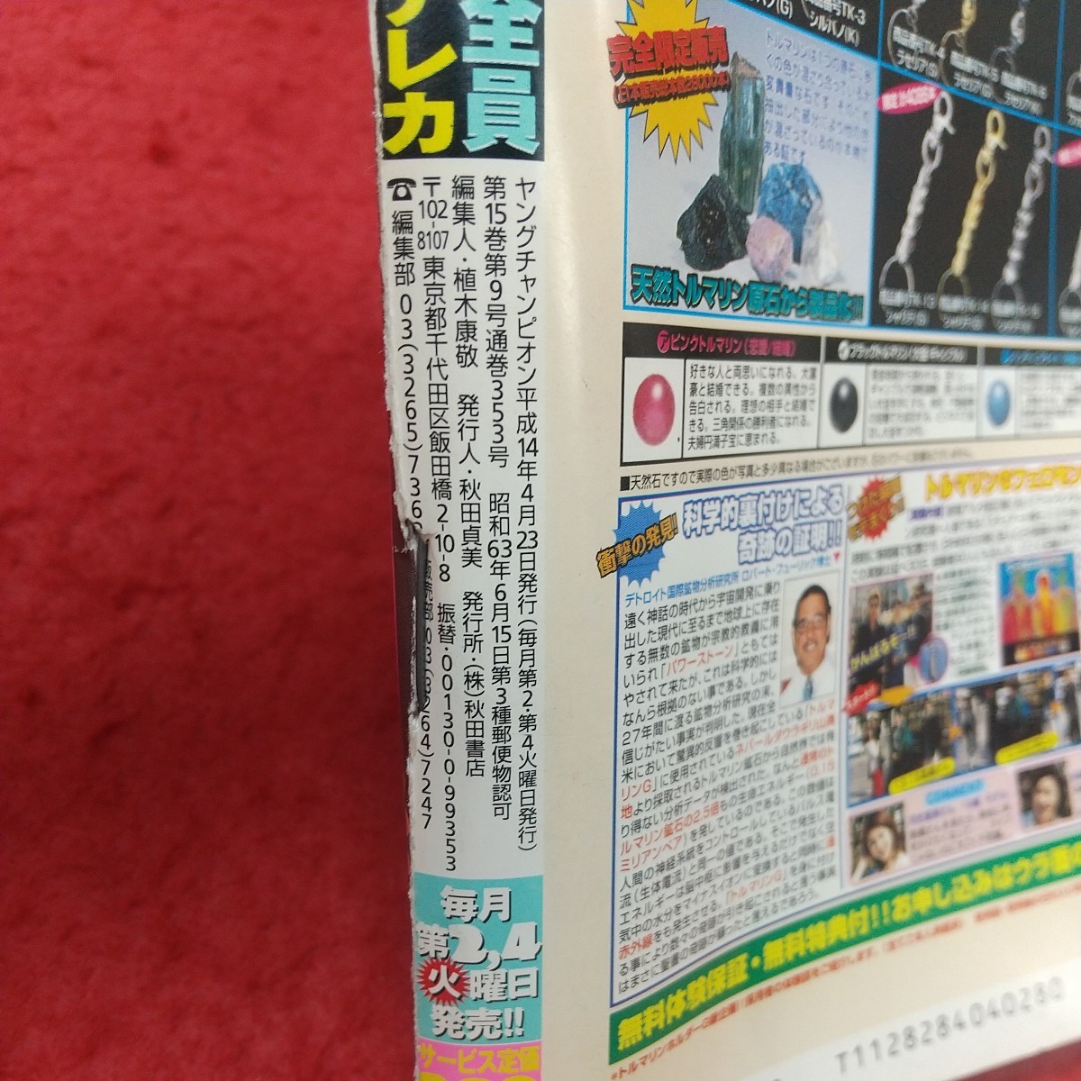 d-031 ※8 ヤングチャンピオン 2002年4月23日号 付録なし 平成14年4月23日 発行 秋田書店 アイドル グラビア 漫画 雑誌 _画像3