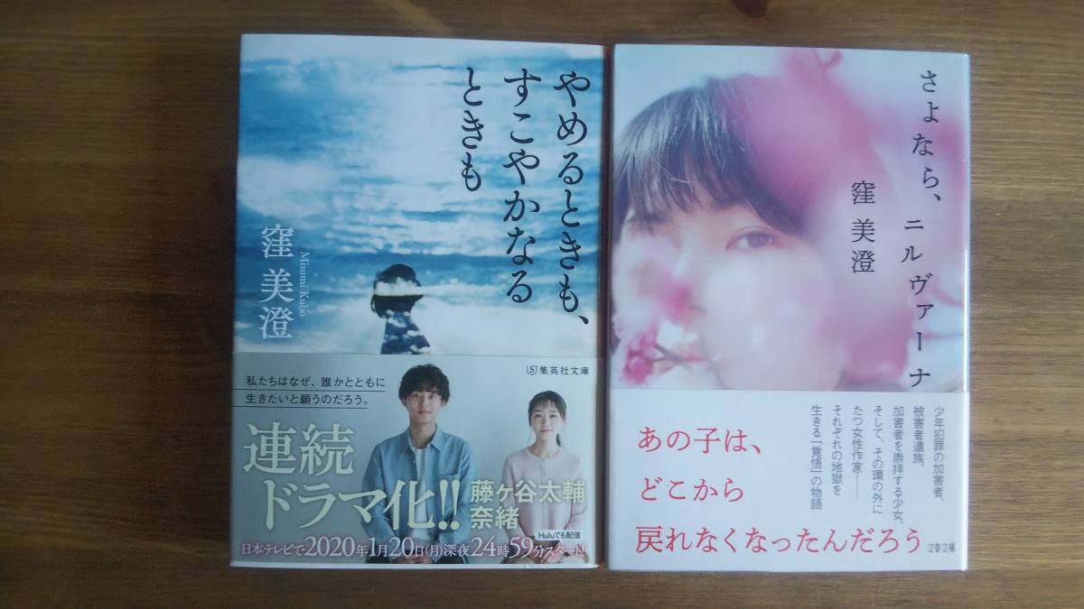 （BT‐11）　窪美澄　文庫2冊セット 　やめるときも、すこやかなるときも (集英社文庫)　　 さよなら、ニルヴァーナ (文春文庫)_画像1