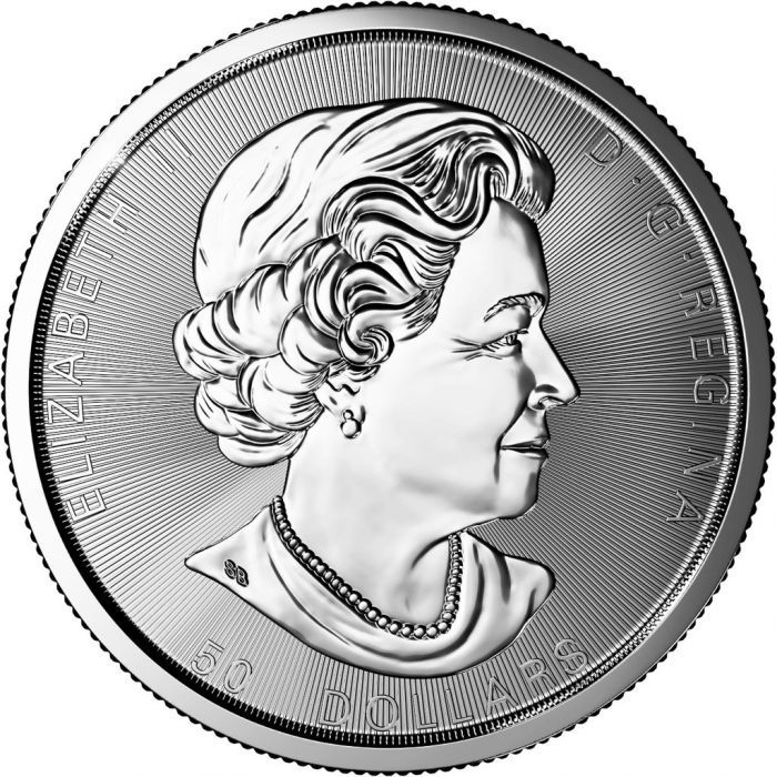 [ письменная гарантия * капсулпа со стартером ] 2021 год ( новый товар ) Canada [ Maple leaf ] оригинальный серебряный 10 унция серебряная монета 