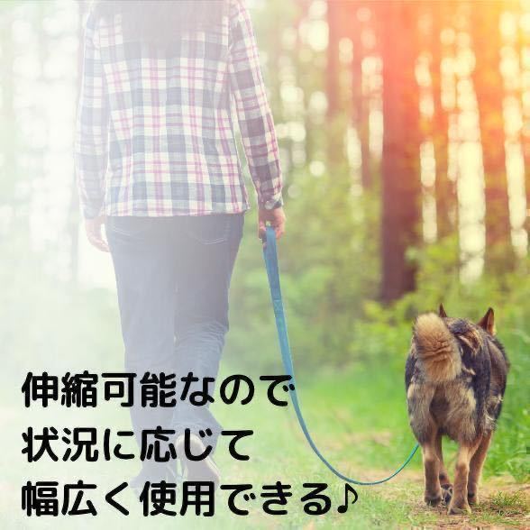 伸縮リード 犬用 赤 レッド 自動巻き取り ロック付き 5ｍ 散歩用 ペット用品_画像3