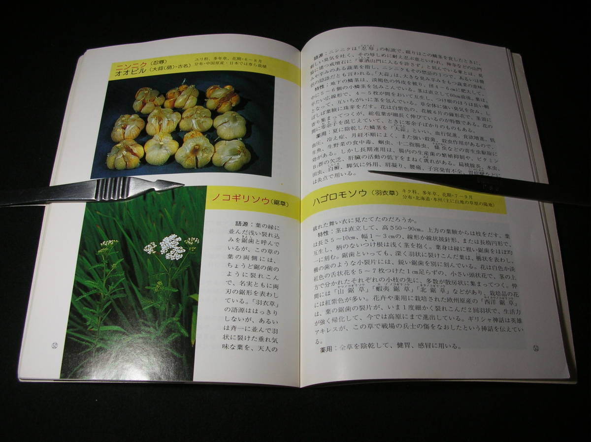 【送料無料】薬用植物（園芸新知識 花の号増刊）著者：御所見直好　_ピンセットは付属しません