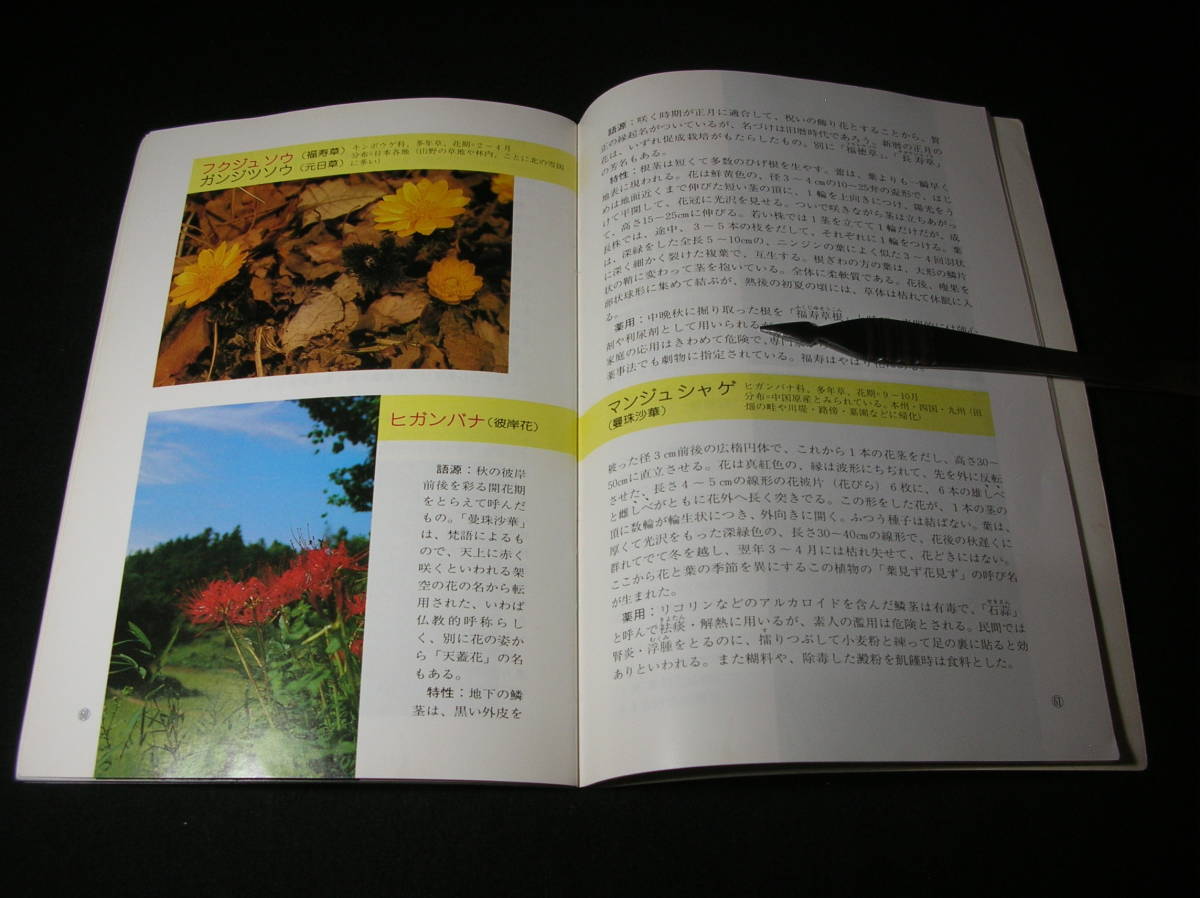 【送料無料】薬用植物（園芸新知識 花の号増刊）著者：御所見直好　_ピンセットは付属しません