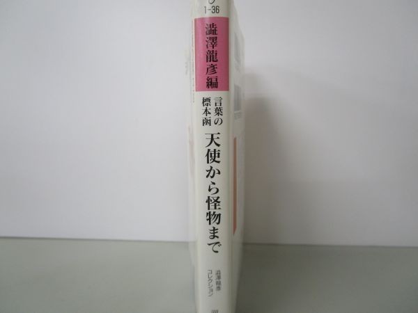 言葉の標本函 天使から怪物まで―渋澤龍彦コレクション　　　河出文庫 yo0512-be4-ba250600_画像2