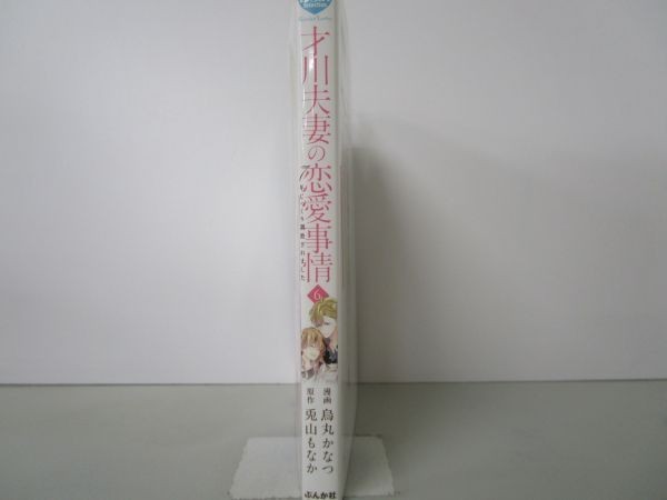 才川夫妻の恋愛事情 7年じっくり調教されました(6) (ぶんか社コミックス) yo0512-bd7-ba251857_画像2