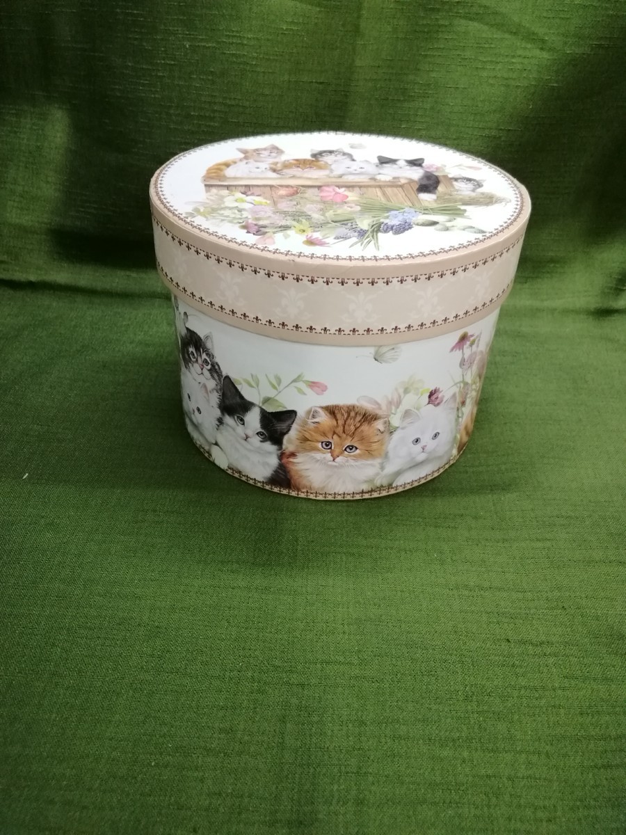 g_t Ｐ170 新古品 陶器 花と猫 猫カップボックスセット 未使用品 猫好き用Myマグカップにいかがでしょうか?_画像3