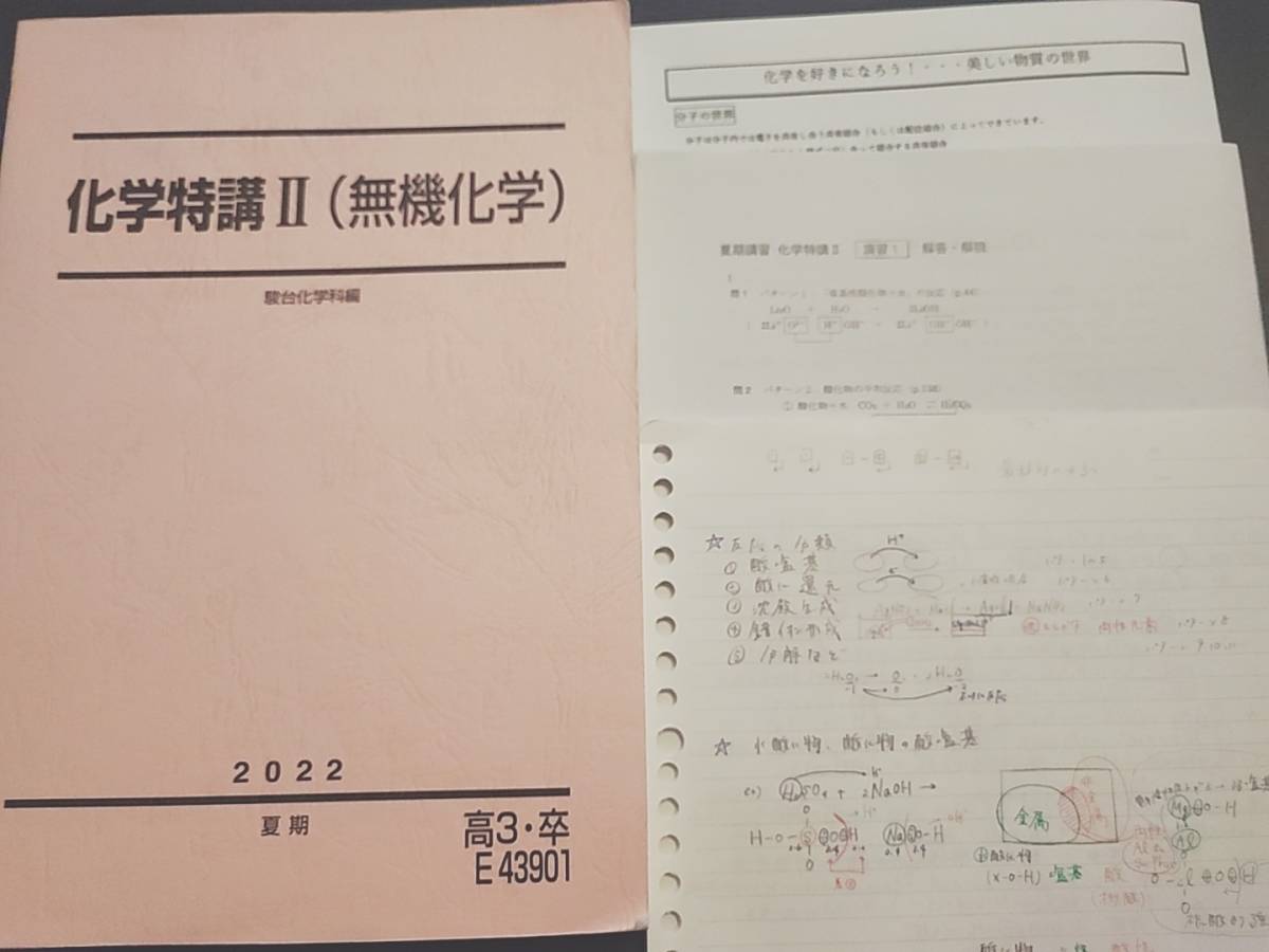駿台 22年夏期 締切講座 化学特講Ⅱ無機 テキスト・板書 吉田 駿台 22年夏期 締切講座 化学特講Ⅱ無機 テキスト・板書 吉田