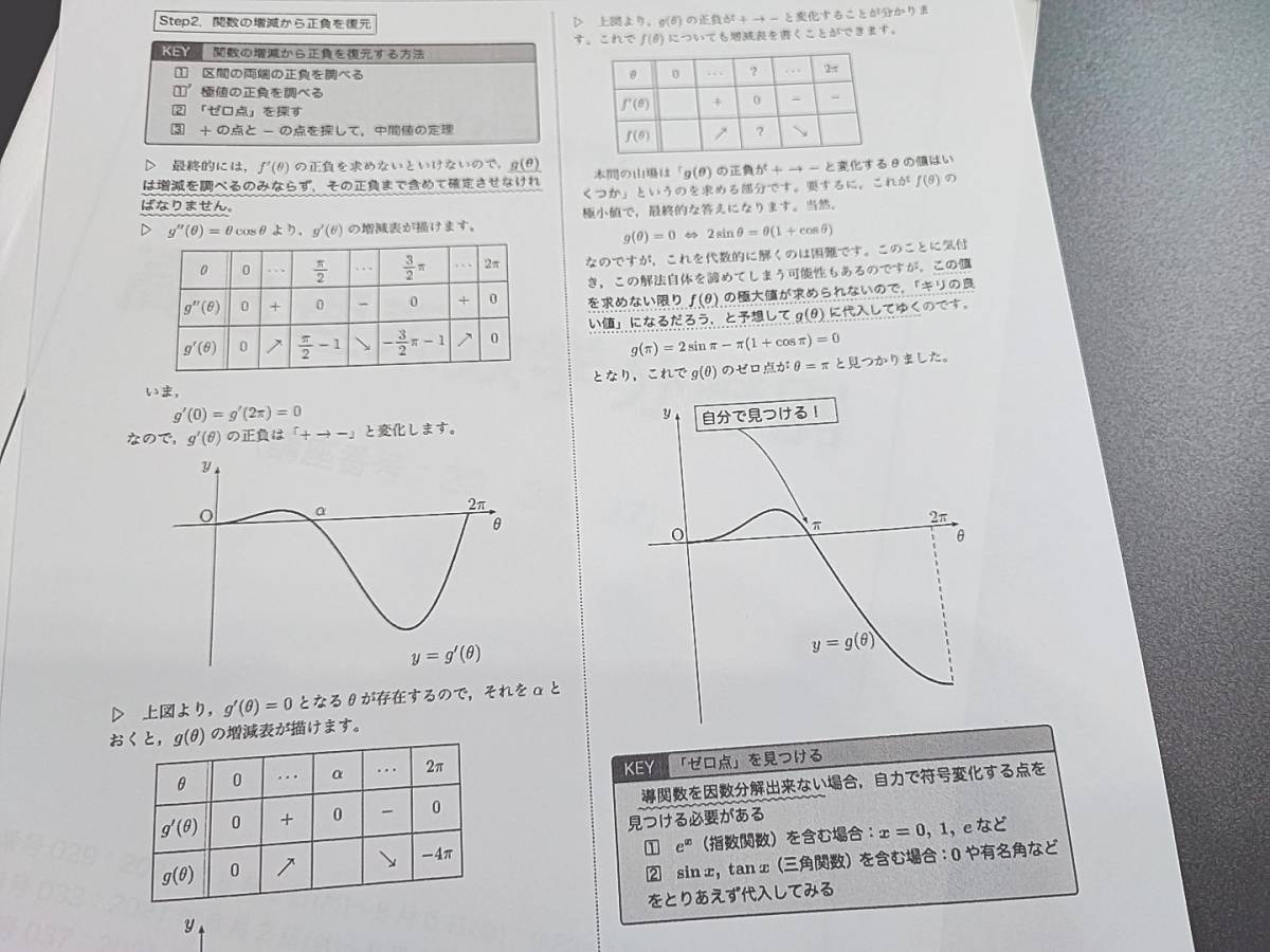 鉄緑会　中前先生　21年　夏期　高３理系数学・分野別　数Ⅲ　テキスト・解説冊子フルセット　河合塾　駿台　鉄緑会　東進　SEG 