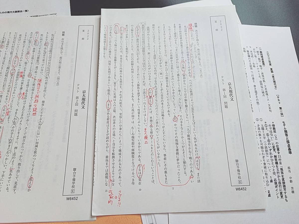 駿台 中野芳樹先生 締切り講座 22年度夏期 京大現代文 テキスト 駿台 中野芳樹先生 締切り講座 22年度夏期 京大現代文 テキスト