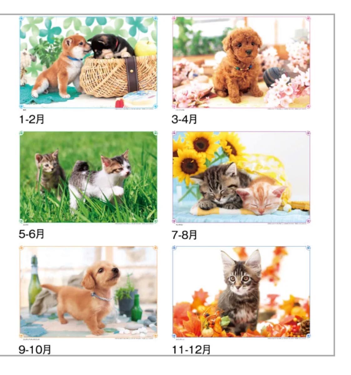 カレンダー 壁掛け 2024ワンニャンカレンダー　2024年 壁掛けタイプの、犬猫のかわいいカレンダーです。
