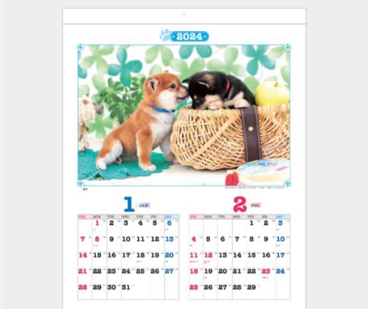 カレンダー 壁掛け 2024ワンニャンカレンダー　2024年 壁掛けタイプの、犬猫のかわいいカレンダーです。