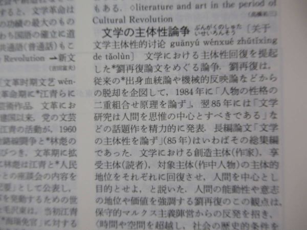 x45● 岩波 現代中国事典 天児慧 石原享一 朱建栄 辻康吾 菱田雅晴 村田雄二郎初版・外函付 1999年 岩波書店 221020_画像6