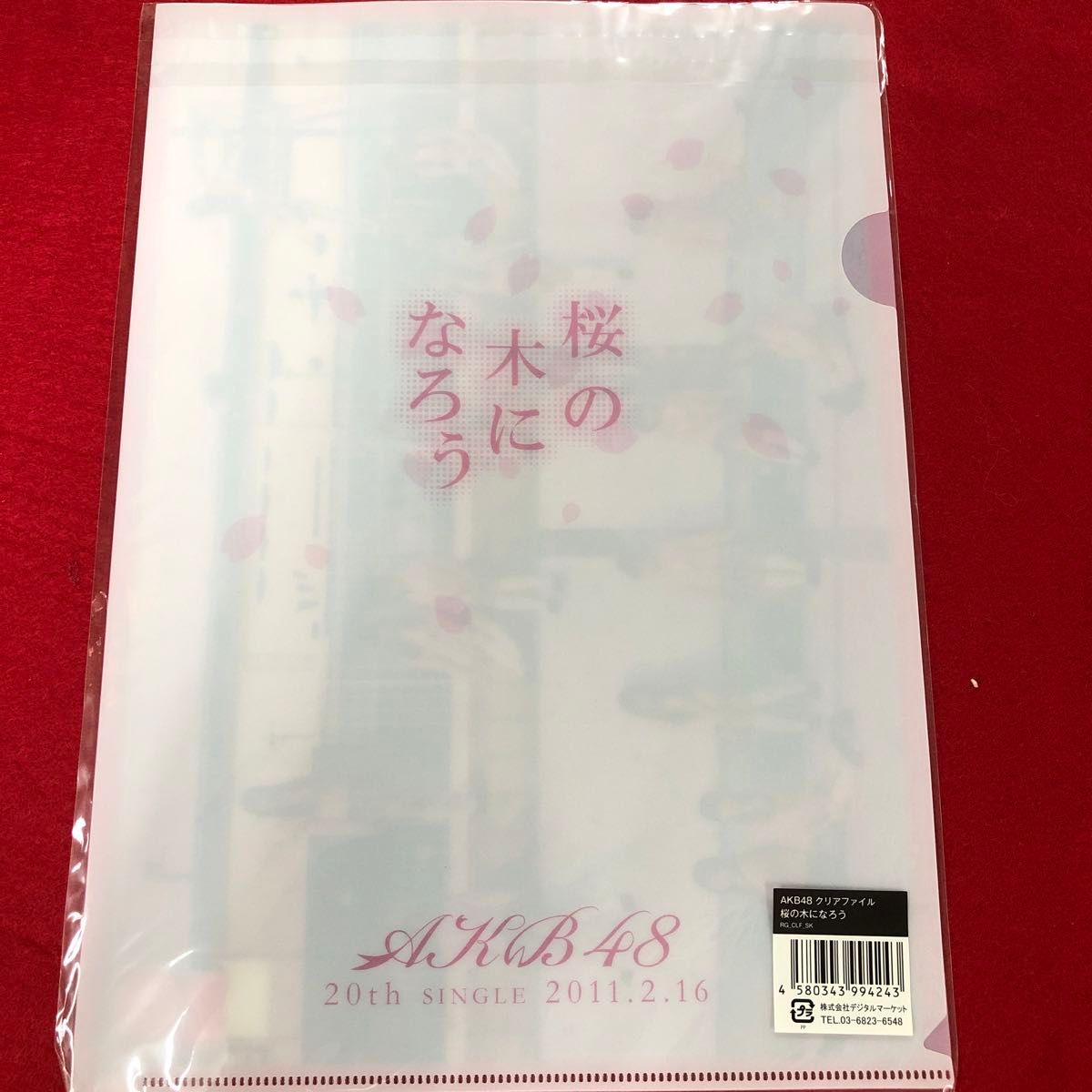 AKB48 クリアファイル&カフェショップ　コースターファイル【未開封、未使用】