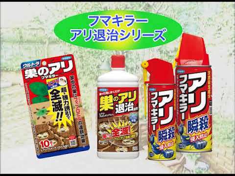 まとめ得 フマキラー 巣のアリ退治 液剤 800mL x [6個] /k_画像3