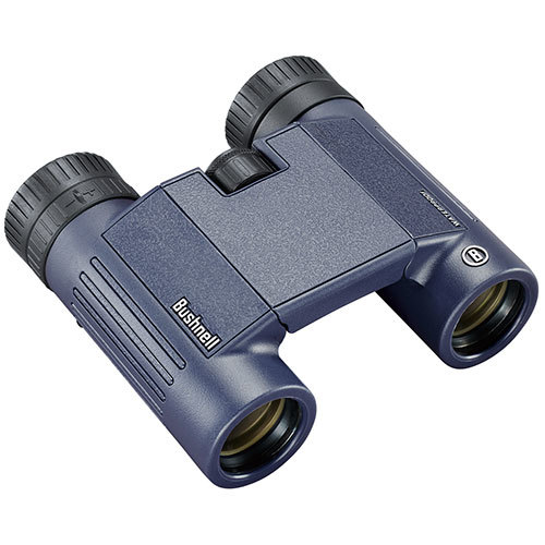  summarize profit Bushnell complete waterproof binoculars H2O8×25WP 138005R x [2 piece ] /l