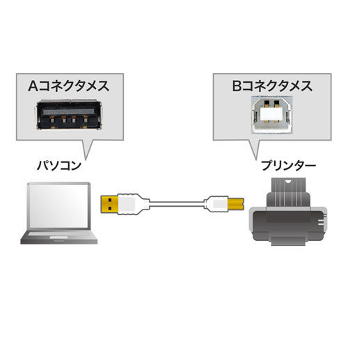 まとめ得 【5個セット】 サンワサプライ 極細USBケーブル　(USB2.0　A-Bタイプ) KU20-SL25WKX5 x [2個] /l_画像2