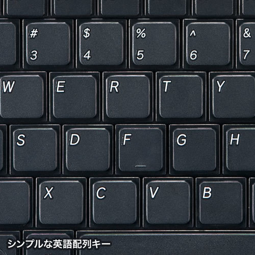  суммировать выгода Sanwa Supply английский язык расположение USB тонкий клавиатура SKB-E3UN x [2 шт ] /l