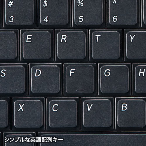  Sanwa Supply английский язык расположение USB тонкий клавиатура SKB-E2UN /l