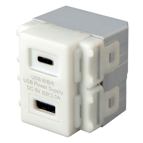 まとめ得 サンワサプライ 埋込USB給電用コンセント (TYPEC搭載) TAP-KJUSB1C1W x [2個] /l