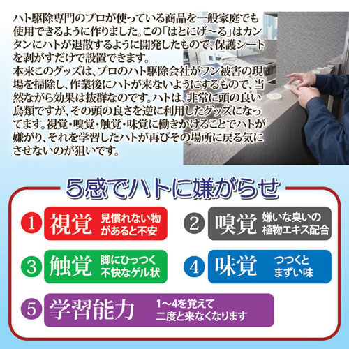 浩生 ハト駆除会社が使っている「はとにげ～る」 805982 /l_画像2