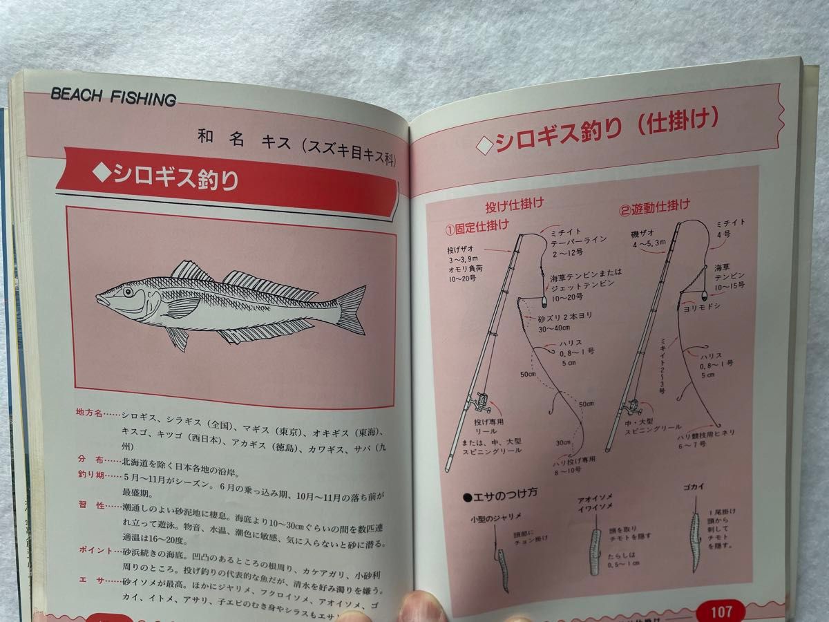 【古本】すぐよく釣れる　海釣り　海岸・磯・防波堤・沖　奥山光造